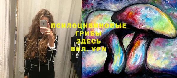 МДПВ Верхний Тагил