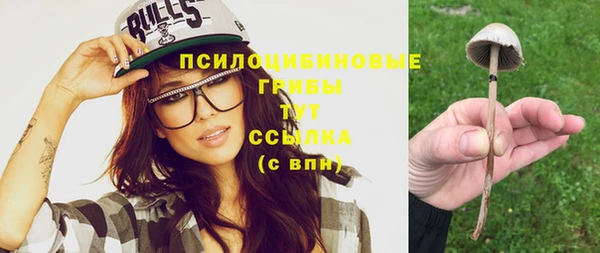 МДПВ Верхний Тагил
