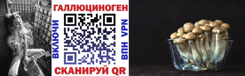 Псилоцибиновые грибы Psilocybe  Гаврилов Посад 