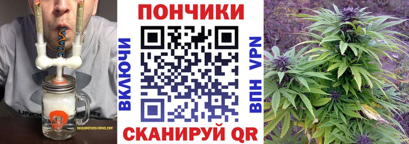 цены   Гаврилов Посад  Каннабис ГИДРОПОН 